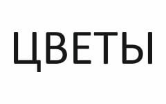 Логотип магазина